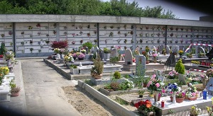 DSCN2544