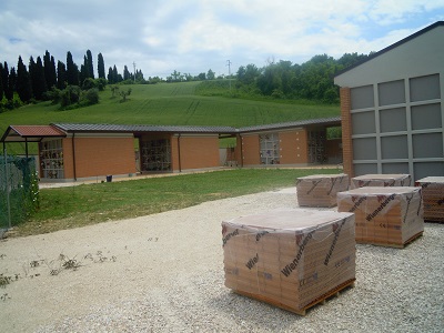 DSCN8145