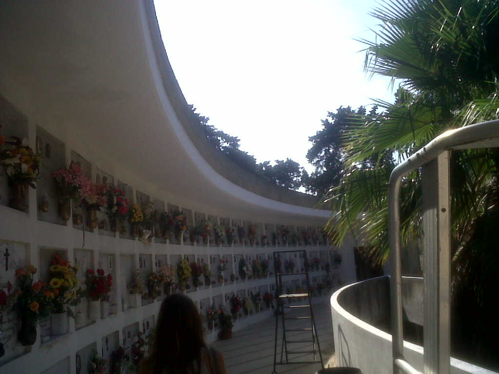 IMG04449-20110917-1114